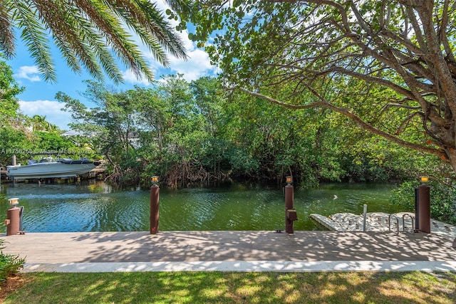 dock area with a water view