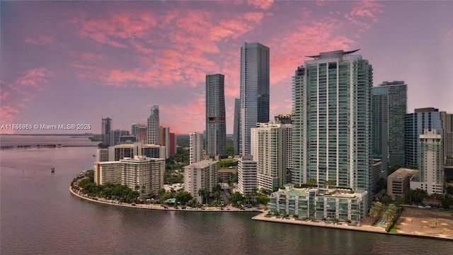 property's view of city featuring a water view