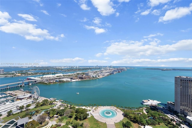 bird's eye view featuring a water view and a city view