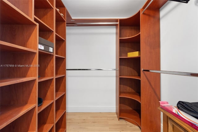 walk in closet featuring wood finished floors