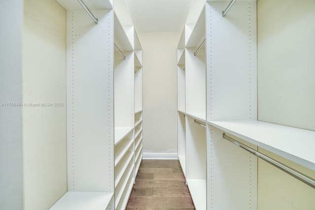 spacious closet featuring dark wood-type flooring