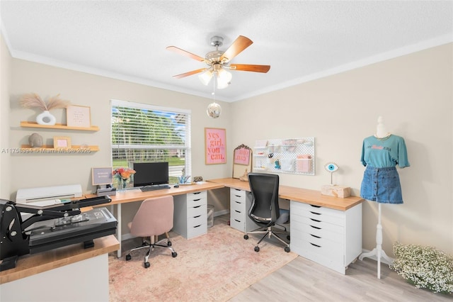 office space with a textured ceiling, ornamental molding, light wood-type flooring, and a ceiling fan