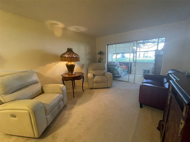 living area with a textured ceiling and light colored carpet