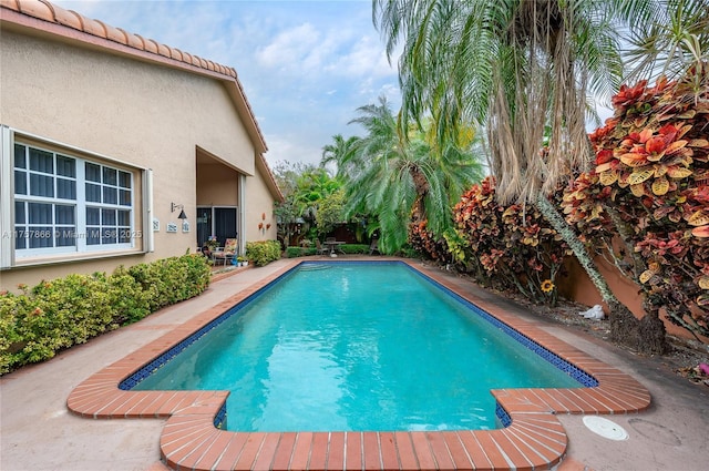 outdoor pool with a patio area