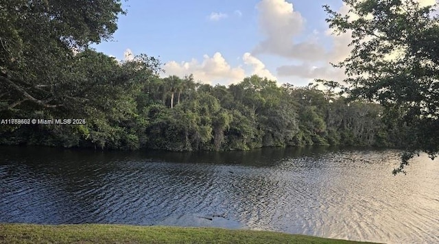 water view featuring a wooded view