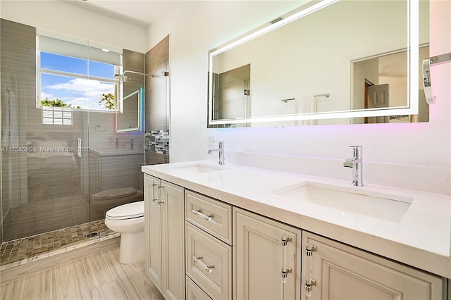 full bathroom with toilet, a shower stall, double vanity, and a sink