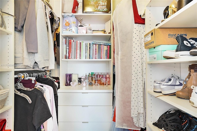 view of walk in closet