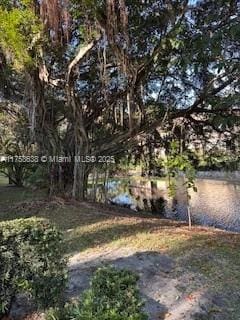 view of yard featuring a water view