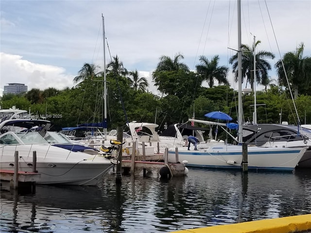 dock area with a water view