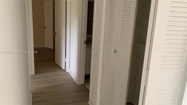 hallway with light wood finished floors