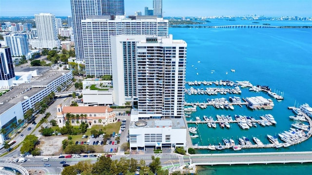 bird's eye view with a water view and a city view