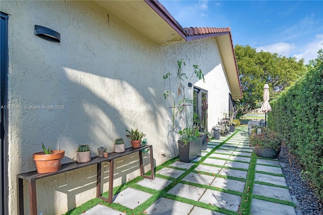 view of yard featuring a patio area