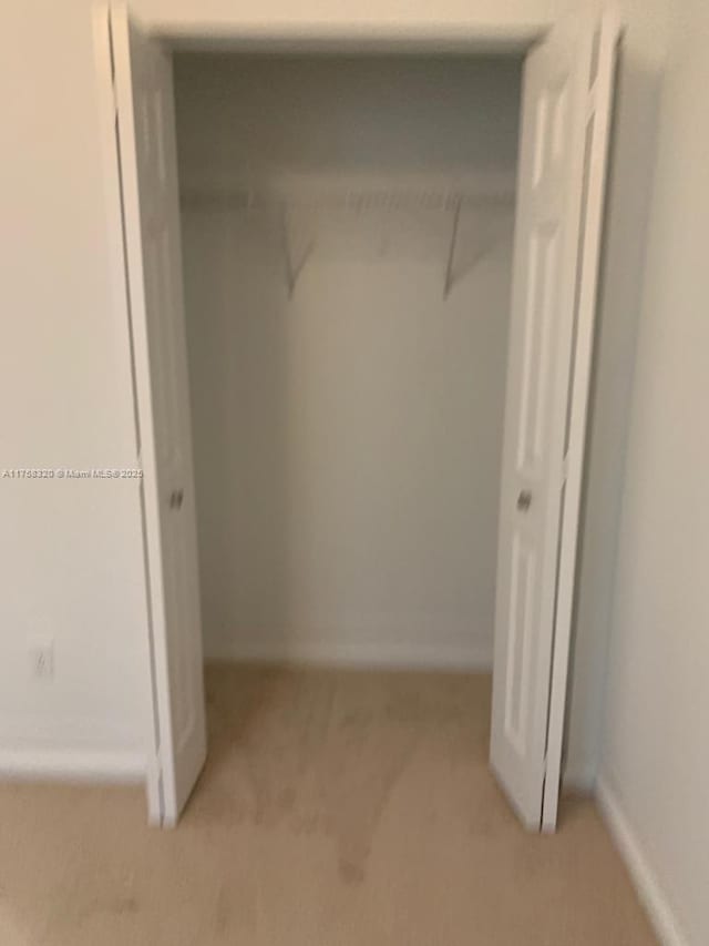 view of closet