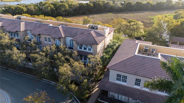 drone / aerial view