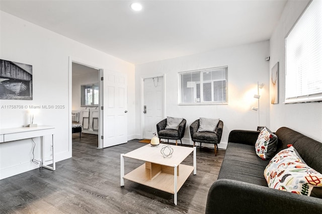 living room with baseboards and wood finished floors