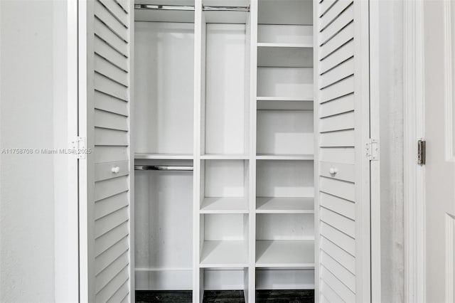 view of closet