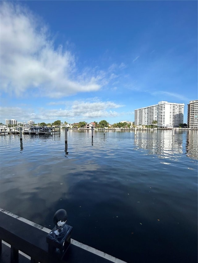 water view with a dock