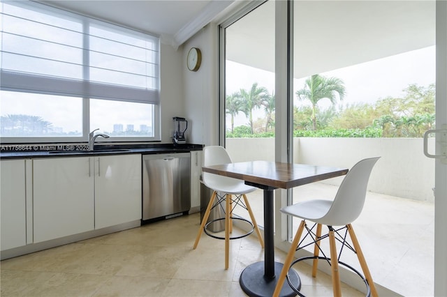 kitchen with stainless steel dishwasher, dark countertops, a wealth of natural light, and ornamental molding