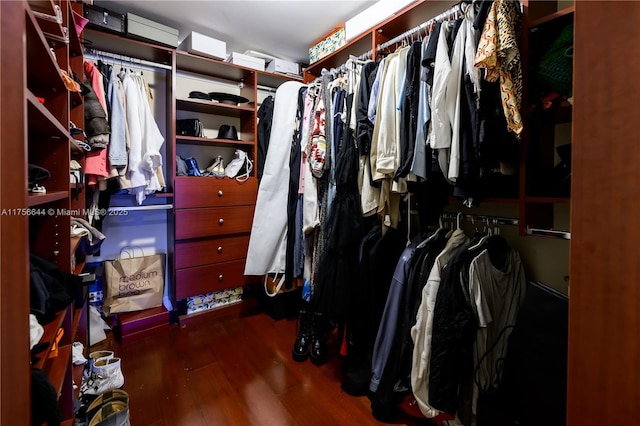 walk in closet with wood finished floors