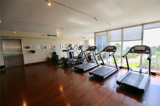 gym with visible vents, track lighting, wood finished floors, and floor to ceiling windows