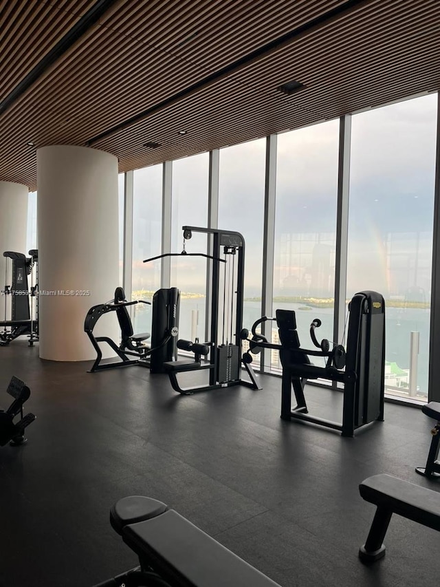 workout area with floor to ceiling windows