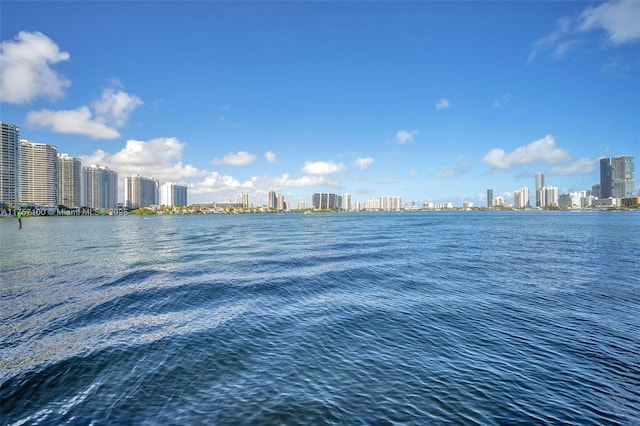 water view featuring a view of city