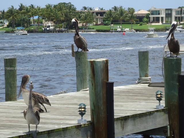 dock area with a water view