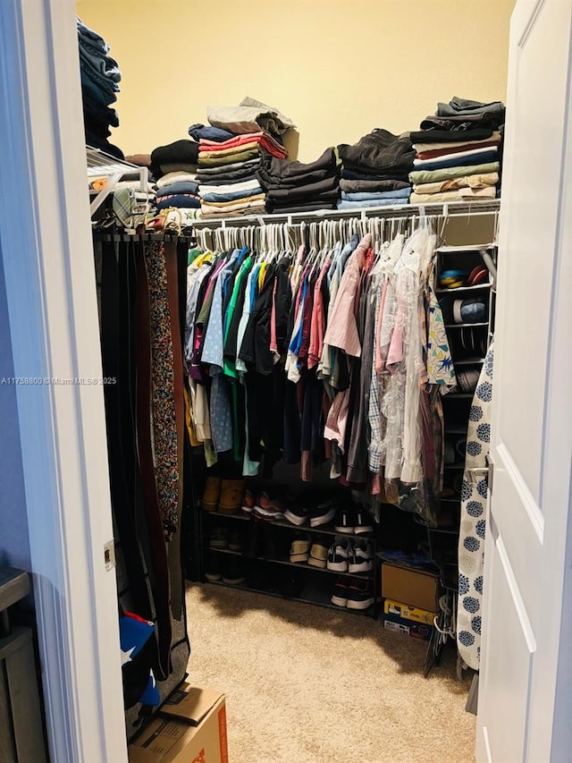 walk in closet with carpet