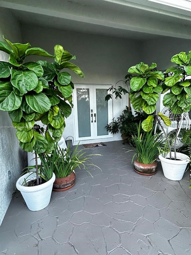 entrance to property with french doors