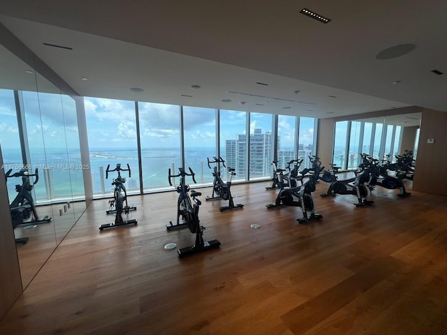 exercise room with expansive windows, wood finished floors, and a city view