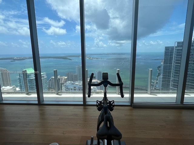 workout area with a wall of windows, a water view, and wood finished floors