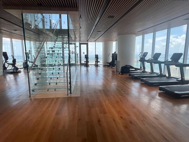 workout area with expansive windows, wood finished floors, and a wealth of natural light