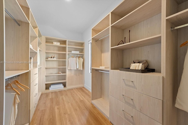 spacious closet with light wood-style flooring