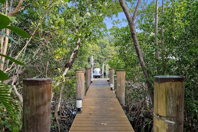 view of home's community featuring a boat dock