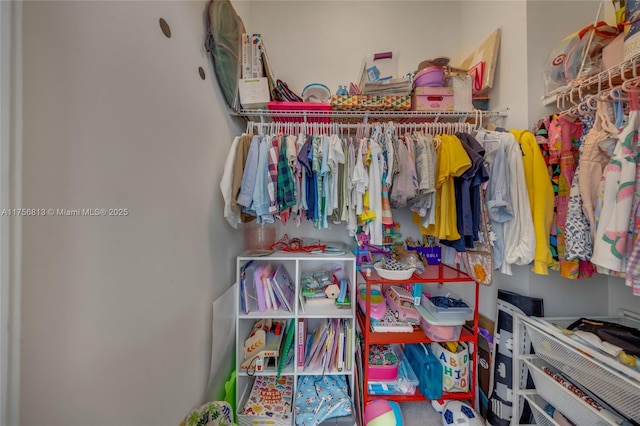 view of spacious closet