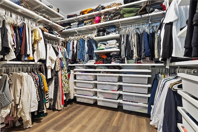 walk in closet with wood finished floors