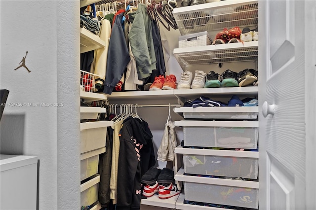 view of walk in closet