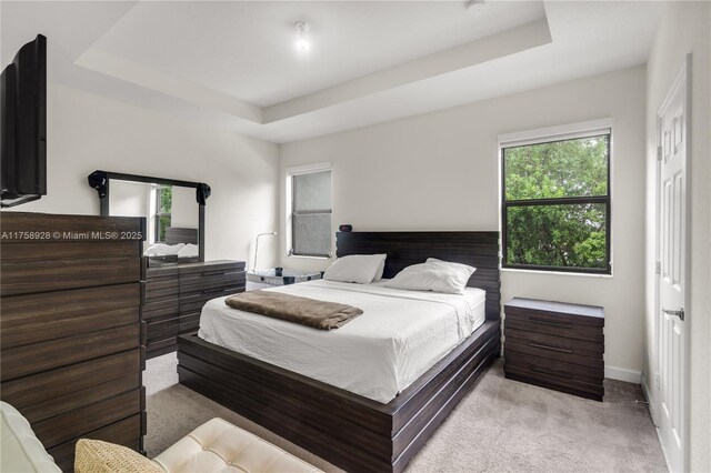 bedroom with carpet floors, baseboards, and a tray ceiling