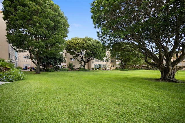 330 NE 26th Ave Unit 4160, Boynton Beach, FL 33435 - view of yard