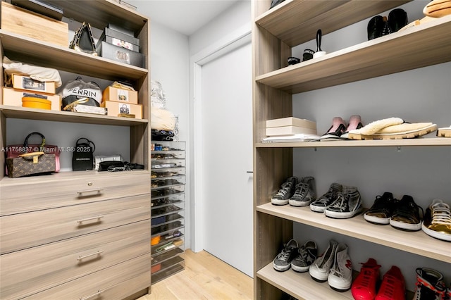 spacious closet featuring light wood-type flooring