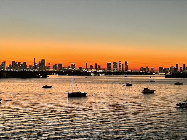 water view featuring a city view