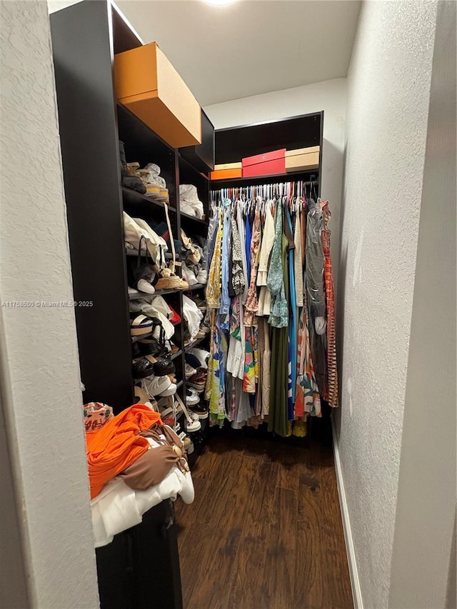 walk in closet featuring wood finished floors