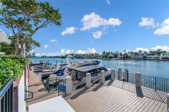 dock area with a water view