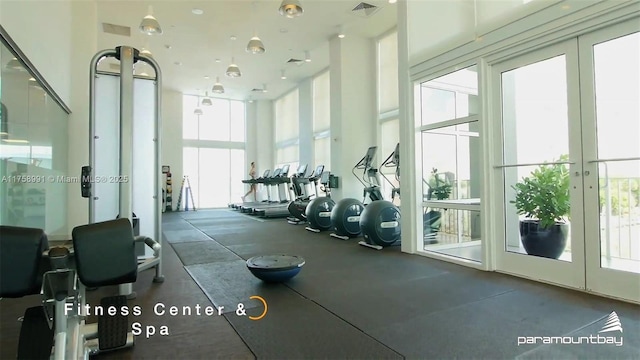 2020 N Bayshore Dr Unit Th 104, Miami, FL 33137 - exercise room featuring french doors, plenty of natural light, and a towering ceiling
