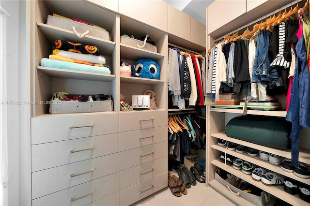 view of spacious closet