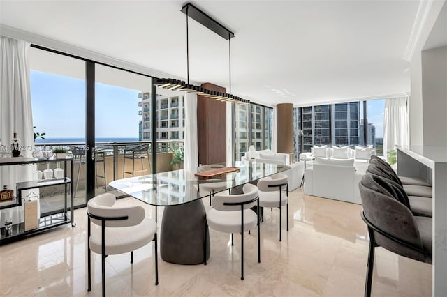 dining space with expansive windows