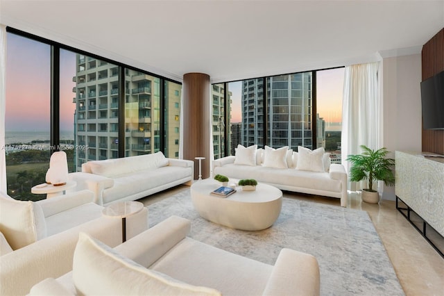 living room with a healthy amount of sunlight and expansive windows