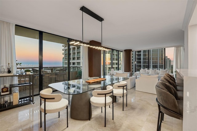 dining room with a healthy amount of sunlight and a wall of windows