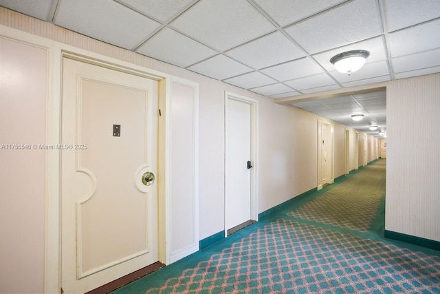 hall featuring carpet, a drop ceiling, and baseboards