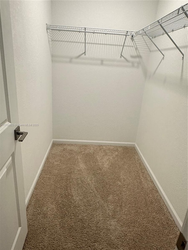 2431 SE 10th Ct, Homestead, FL 33035 - spacious closet with carpet